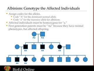 Phenotype Code Pedigree examples | PPT