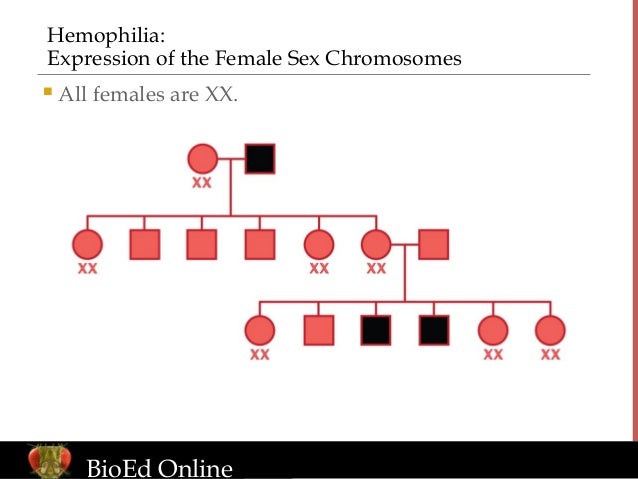 Pedigree Examples