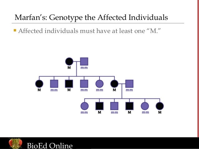 generation pedigree chart
