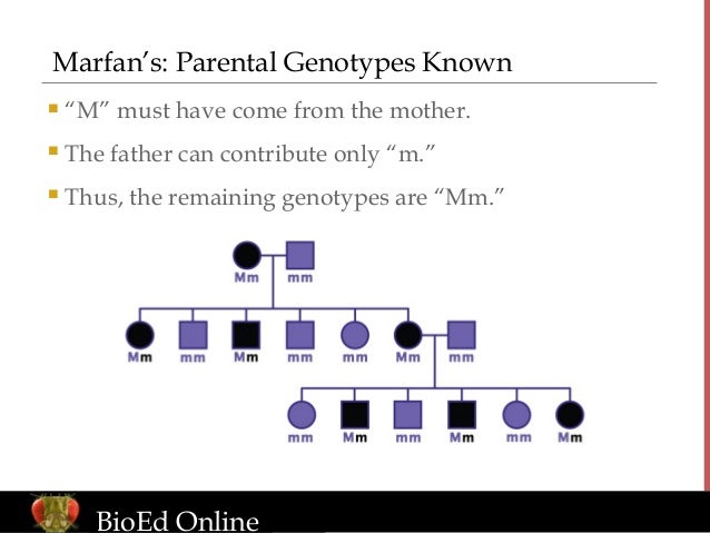 exle of genotype pedigree exles exle of genotype pedigree exles