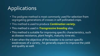 Pedigree method bsc 3 | PPTX