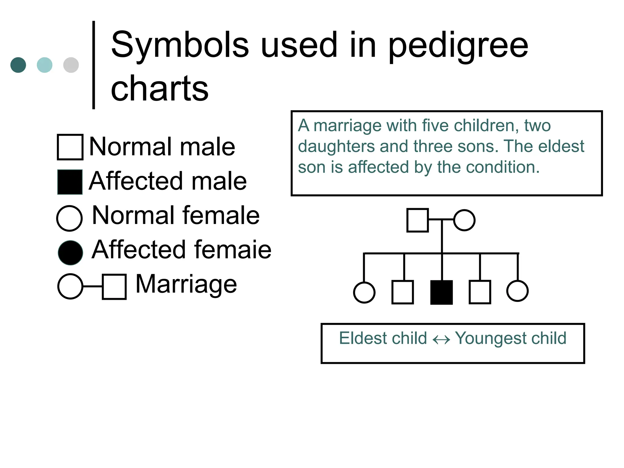 Symbols used in pedigree
charts
Normal male
Affected male
Normal female
Affected femaie
Marriage
A marriage with five children, two
daughters and three sons. The eldest
son is affected by the condition.
Eldest child  Youngest child
 