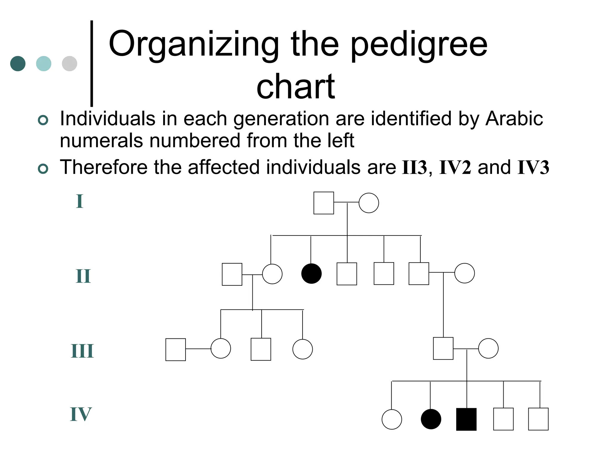 Organizing the pedigree
chart
 Individuals in each generation are identified by Arabic
numerals numbered from the left
 Therefore the affected individuals are II3, IV2 and IV3
I
II
III
IV
 