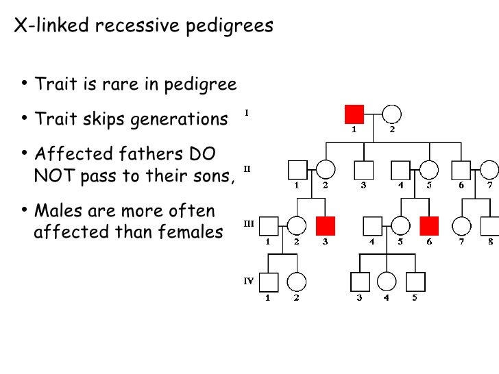 Pedigree Chart X Linked Recessive