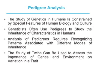 Pedigree Analysis
• The Study of Genetics in Humans Is Constrained
by Special Features of Human Biology and Culture
• Geneticists Often Use Pedigrees to Study the
Inheritance of Characteristics in Humans
• Analysis of Pedigrees Requires Recognizing
Patterns Associated with Different Modes of
Inheritance
• The Study of Twins Can Be Used to Assess the
Importance of Genes and Environment on
Variation in a Trait
 