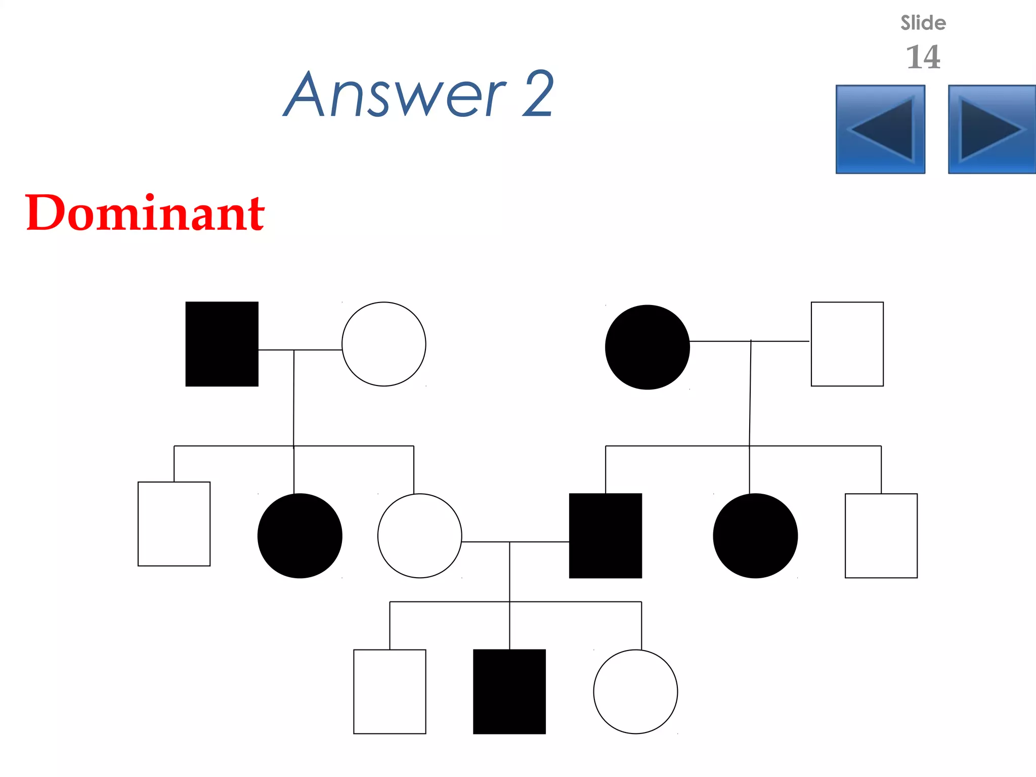 Answer 2
Dominant
Slide
14
 