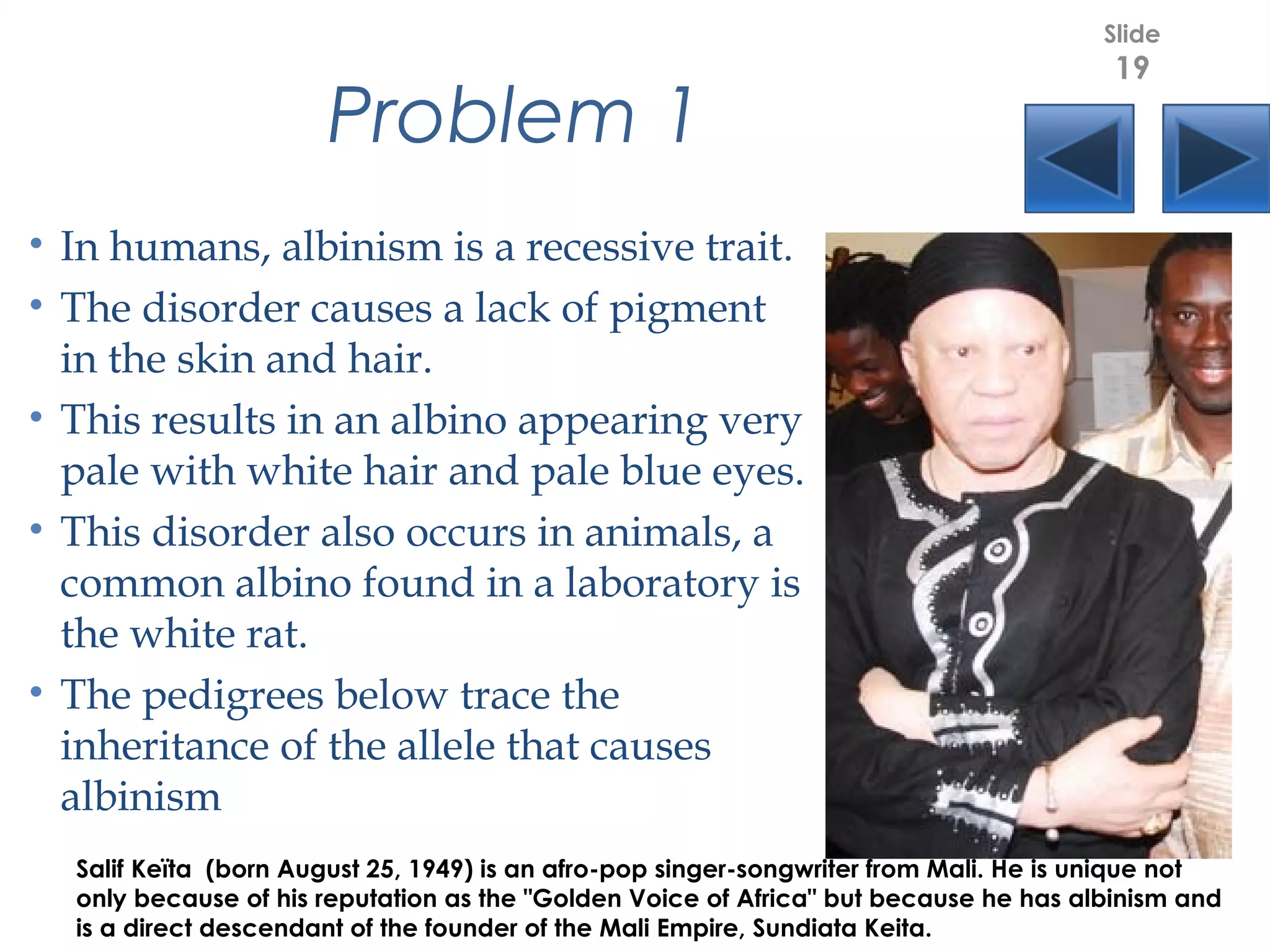 Problem 1
• In humans, albinism is a recessive trait.
• The disorder causes a lack of pigment
in the skin and hair.
• This results in an albino appearing very
pale with white hair and pale blue eyes.
• This disorder also occurs in animals, a
common albino found in a laboratory is
the white rat.
• The pedigrees below trace the
inheritance of the allele that causes
albinism
Slide
19
Salif Keïta  (born August 25, 1949) is an afro-pop singer-songwriter from Mali. He is unique not
only because of his reputation as the "Golden Voice of Africa" but because he has albinism and
is a direct descendant of the founder of the Mali Empire, Sundiata Keita. 
 