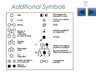 Additional Symbols
Slide
17
 