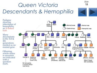 Queen Victoria
Descendants & Hemophilia
Pedigree
showing
inheritance of
hemophilia,
an X-linked
trait.
Many
descendants
in the 3rd &
4th
generations
omitted as no
mutant gene.
Offspring
whose status
is uncertain
are indicated
with a
question
mark.
Slide
18
 