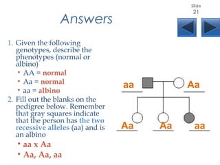 Answers
1. Given the following
genotypes, describe the
phenotypes (normal or
albino)
• AA = normal
• Aa = normal
• aa = albino
2. Fill out the blanks on the
pedigree below. Remember
that gray squares indicate
that the person has the two
recessive alleles (aa) and is
an albino
• aa x Aa
• Aa, Aa, aa 
aa Aa
Aa aaAa
Slide
21
 