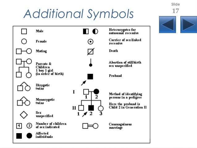 Genetic Pedigree Chart Symbols