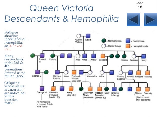 Queen Victoria Hemophilia Pedigree Chart