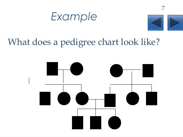 pedigrees lecture which is a purpose for which a pedigree chart might be prepared
