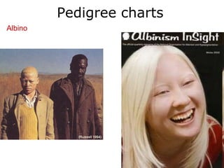 Pedigree charts
Albino
 