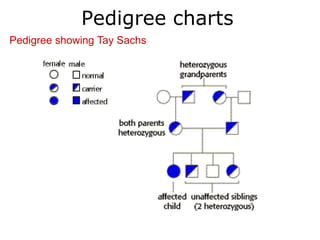 Pedigree charts
Pedigree showing Tay Sachs
 