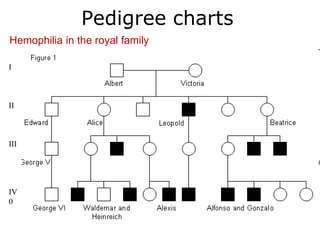 Pedigree charts
Hemophilia in the royal family

I



II



III




IV
0
 