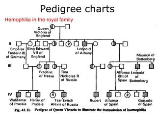 Pedigree charts
Hemophilia in the royal family
 
