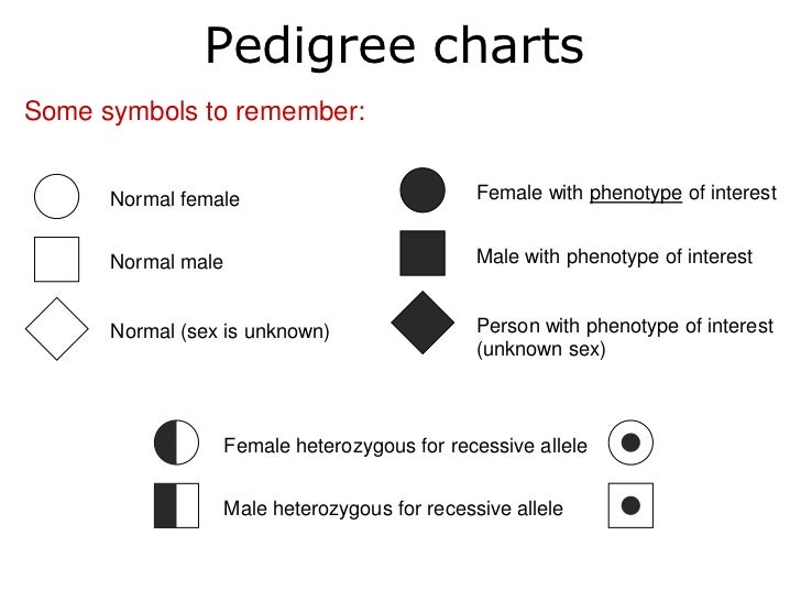 Pedigree Chart Worksheet With Answer Key