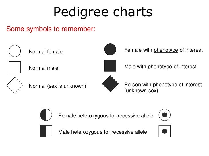 Pedigrees lesson