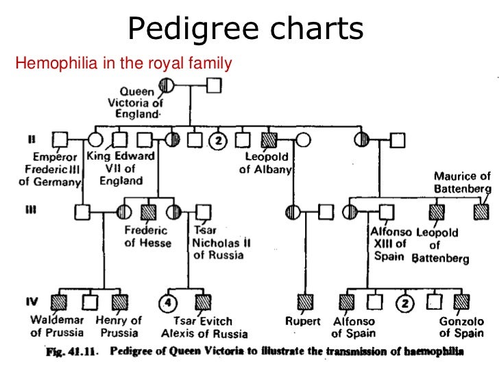 Pedigree Charts Worksheet