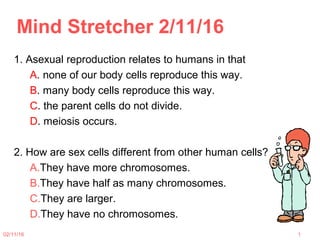 Mind Stretcher 2/11/16
1. Asexual reproduction relates to humans in that
A. none of our body cells reproduce this way.
B. many body cells reproduce this way.
C. the parent cells do not divide.
D. meiosis occurs.
2. How are sex cells different from other human cells?
A.They have more chromosomes.
B.They have half as many chromosomes.
C.They are larger.
D.They have no chromosomes.
02/11/16 1
 