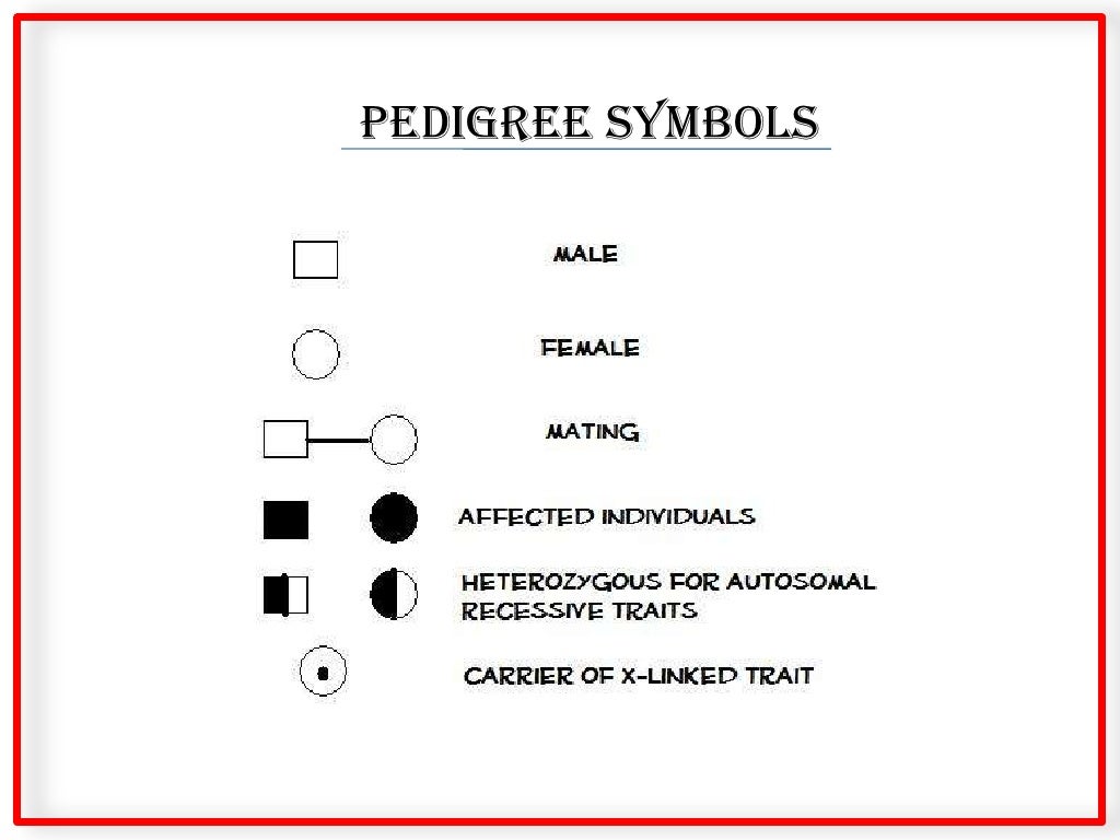 pedigree-basics