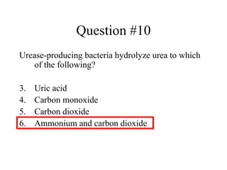 Question #10 Urease-producing bacteria hydrolyze urea to which of the following? Uric acid Carbon monoxide Carbon dioxide Ammonium and carbon dioxide 