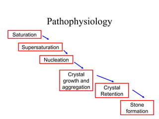 Pathophysiology Saturation Crystal growth and aggregation Supersaturation Crystal Retention Stone formation Nucleation 