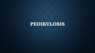 PEDIKULOSIS
 