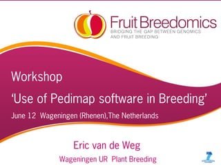 Pedimap Workshop, June 12 2014
PBA workshop, MSU JUNE’ 10 1
Workshop
‘Use of Pedimap software in Breeding’
June 12 Wageningen (Rhenen),The Netherlands
Eric van de Weg
Wageningen UR Plant Breeding
 