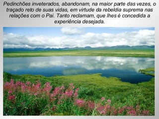 Pedinchões inveterados, abandonam, na maior parte das vezes, o traçado reto de suas vidas, em virtude da rebeldia suprema nas relações com o Pai. Tanto reclamam, que lhes é concedida a experiência desejada. 