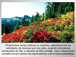 Provocamos certas dádivas no caminho, adiantamo-nos na solicitação da herança que nos cabe, exigindo prematuras concessões do Pai, à maneira do filho pródigo, mas o desencanto constitui-se em veneno da imprevidência e da irresponsabilidade. 