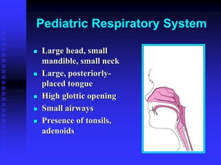 Pediatric Respiratory System
 Large head, small
mandible, small neck
 Large, posteriorly-
placed tongue
 High glottic opening
 Small airways
 Presence of tonsils,
adenoids
 