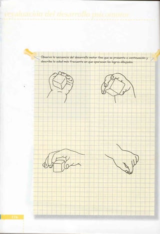 Manual del niño sano