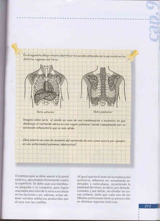 Manual del niño sano