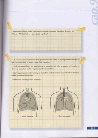 Manual del niño sano