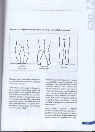 Manual del niño sano