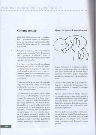 Manual del niño sano