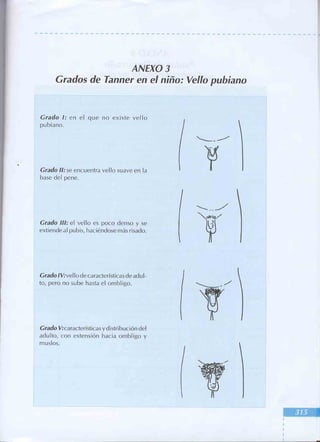 Manual del niño sano