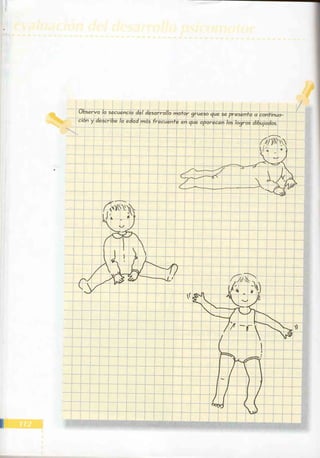 Manual del niño sano