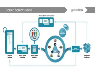 Scaled Scrum: Nexus
 