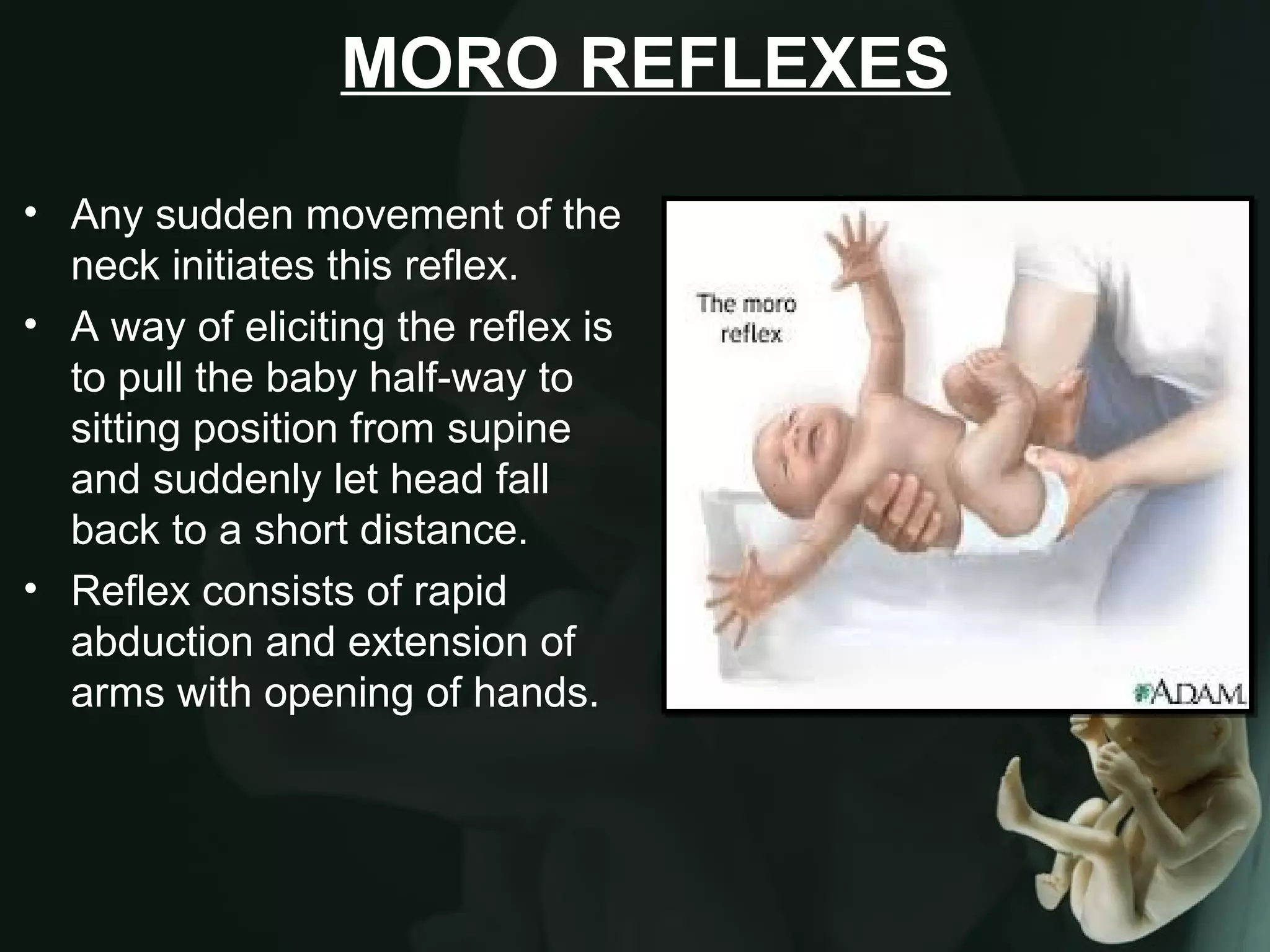 Pedological Anatomy PPT pedological-anatomy-ppt