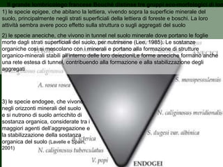 1) le specie epigee, che abitano la lettiera, vivendo sopra la superficie minerale del
suolo, principalmente negli strati superficiali della lettiera di foreste e boschi. La loro
attività sembra avere poco effetto sulla struttura o sugli aggregati del suolo
2) le specie aneciche, che vivono in tunnel nel suolo minerale dove portano le foglie
morte dagli strati superficiali del suolo, per nutrirsene (Lee, 1985). Le sostanze
organiche così si mescolano con i minerali e portano alla formazione di strutture
organico-minerali stabili all’interno delle loro deiezioniLe forme aneciche formano anche
una rete estesa di tunnel, contribuendo alla formazione e alla stabilizzazione degli
aggregati
Il grande lombricologo francese Bouché distinse tre gruppi eco-morfologici di lom
3) le specie endogee, che vivono
negli orizzonti minerali del suolo
e si nutrono di suolo arricchito di
sostanza organica, considerate tra i
maggiori agenti dell’aggregazione e
la stabilizzazione della sostanza
organica del suolo (Lavelle e Spain,
2001)
 