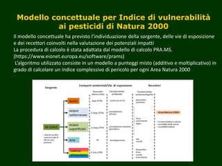 Modello concettuale per Indice di vulnerabilità
ai pesticidi di Natura 2000
Il modello concettuale ha previsto l’individuazione della sorgente, delle vie di esposizione
e dei recettori coinvolti nella valutazione dei potenziali impatti
La procedura di calcolo è stata adattata dal modello di calcolo PRA.MS.
(https://www.eionet.europa.eu/software/prams)
L’algoritmo utilizzato consiste in un modello a punteggi misto (additivo e moltiplicativo) in
grado di calcolare un indice complessivo di pericolo per ogni Area Natura 2000
 