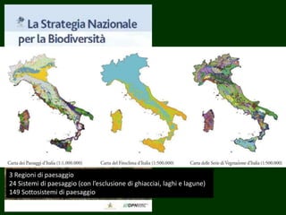 3 Regioni di paesaggio
24 Sistemi di paesaggio (con l’esclusione di ghiacciai, laghi e lagune)
149 Sottosistemi di paesaggio
 