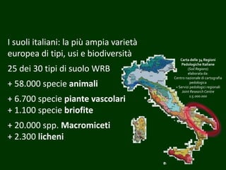 Carta delle 34 Regioni
Pedologiche Italiane
(Soil Regions)
elaborata da:
Centro nazionale di cartografia
pedologica
+ Servizi pedologici regionali
Joint Research Centre
1:5.000.000
I suoli italiani: la più ampia varietà
europea di tipi, usi e biodiversità
25 dei 30 tipi di suolo WRB
+ 58.000 specie animali
+ 6.700 specie piante vascolari
+ 1.100 specie briofite
+ 20.000 spp. Macromiceti
+ 2.300 licheni
 