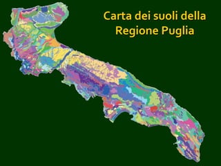 Carta dei suoli della
Regione Puglia
 