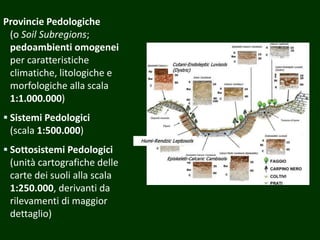 Provincie Pedologiche
(o Soil Subregions;
pedoambienti omogenei
per caratteristiche
climatiche, litologiche e
morfologiche alla scala
1:1.000.000)
 Sistemi Pedologici
(scala 1:500.000)
 Sottosistemi Pedologici
(unità cartografiche delle
carte dei suoli alla scala
1:250.000, derivanti da
rilevamenti di maggior
dettaglio)
 