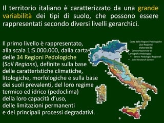 Il territorio italiano è caratterizzato da una grande
variabilità dei tipi di suolo, che possono essere
rappresentati secondo diversi livelli gerarchici.
Carta delle Regioni Pedologiche
(Soil Regions)
elaborata da:
• Centro Nazionale di
Cartografia Pedologica
• Servizi Pedologici Regionali
• Joint Research Centre
Il primo livello è rappresentato,
alla scala 1:5.000.000, dalla carta
delle 34 Regioni Pedologiche
(Soil Regions), definite sulla base
delle caratteristiche climatiche,
litologiche, morfologiche e sulla base
dei suoli prevalenti, del loro regime
termico ed idrico (pedoclima)
della loro capacità d’uso,
delle limitazioni permanenti
e dei principali processi degradativi.
 