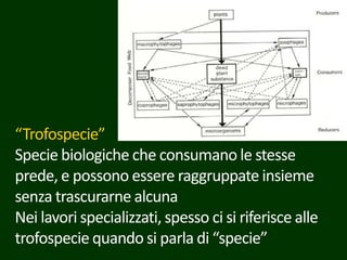“Trofospecie”
Specie biologiche che consumano le stesse
prede, e possono essere raggruppate insieme
senza trascurarne alcuna
Nei lavori specializzati, spesso ci si riferisce alle
trofospecie quando si parla di “specie”
 